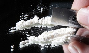 60% back royal commission on drugs