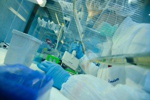 Half oppose DNA sampling by police