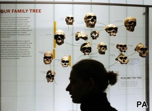 Belief in evolution up since 2004