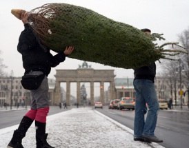Mehrheit der Deutschen wird einen Weihnachtsbaum aufstellen