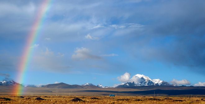 Why is blue the world's favourite colour?