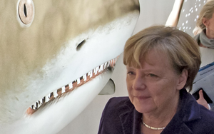 Jeder Dritte glaubt an Merkel-Rücktritt vor der Bundestagswahl 2017