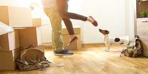 Millennials and their furry companions spur homeownership and car-buying