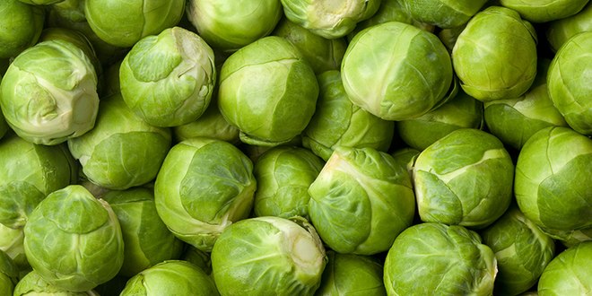 Brussels%20Sprouts%20illustrative.jpg