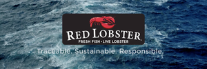 Ad of the Month: Red Lobster