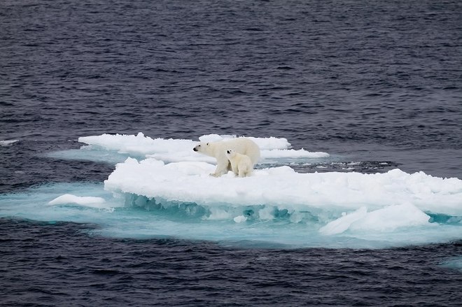 Yougov Internationale Umfrage Mehrheit Der Weltbevolkerung Erwartet Schwerwiegende Folgen Des Klimawandels