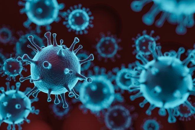 Sarana Empuk Bagi Penyebaran Virus Covid-19 Di Indonesia