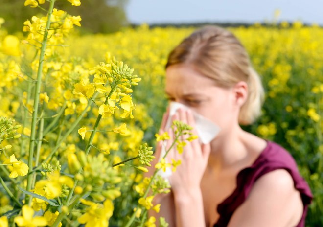 35% des allergiques français déclarent que leurs allergies ont amplifié ces dernières années