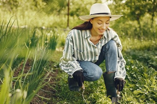 73 Prozent der Verbraucher interessieren sich für smarte Gartengeräte