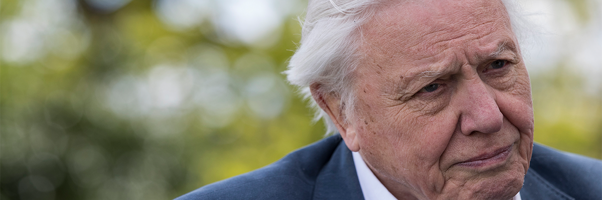 david attenborough is the most popular person in britain finance tracker