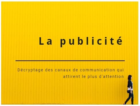 Profil des Français qui portent un intérêt aux publicités en ligne