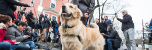 Dogs in the White House: Which 2020 dog names are winning America’s vote?