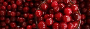 Thanksgiving food debates: is canned or fresh cranberry sauce better?