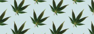 Most Americans say marijuana is safe, can have health benefits, and should be legal