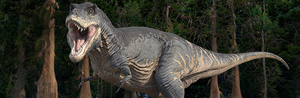 Most Americans say they would not want to bring dinosaurs back from extinction