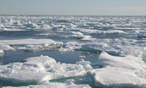 Melting of Greenland's ice sheet-Natural phenomenon, manmade, or both?