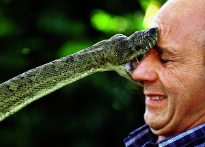 Argh Snakes America S Top Phobias Revealed Yougov